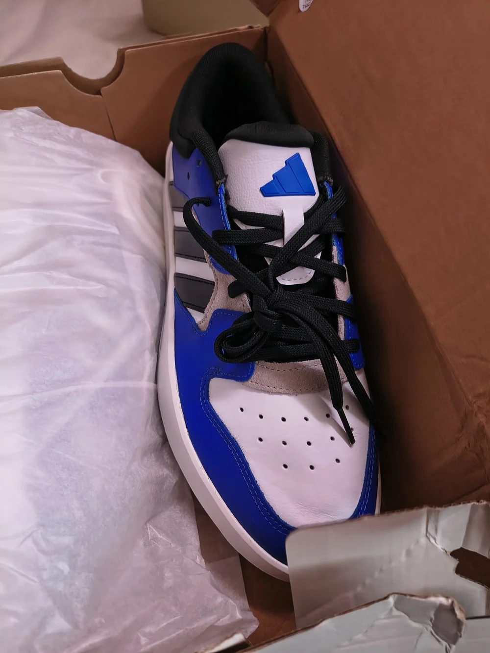 Men's Size 12 Brand New Adidas Court 24